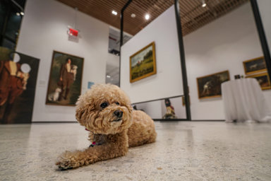 Museum of the Dog party with pup
