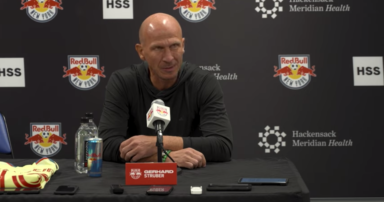 Red Bulls