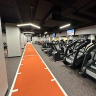 Where 'sports meets science': Theradynamics brings physical and occupational therapy to Tribeca 14