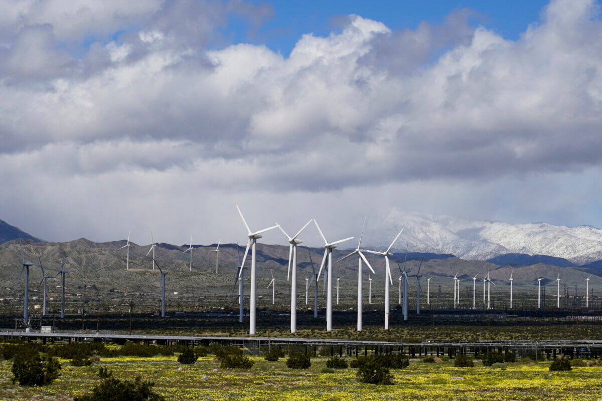 Renewable Energy Report
