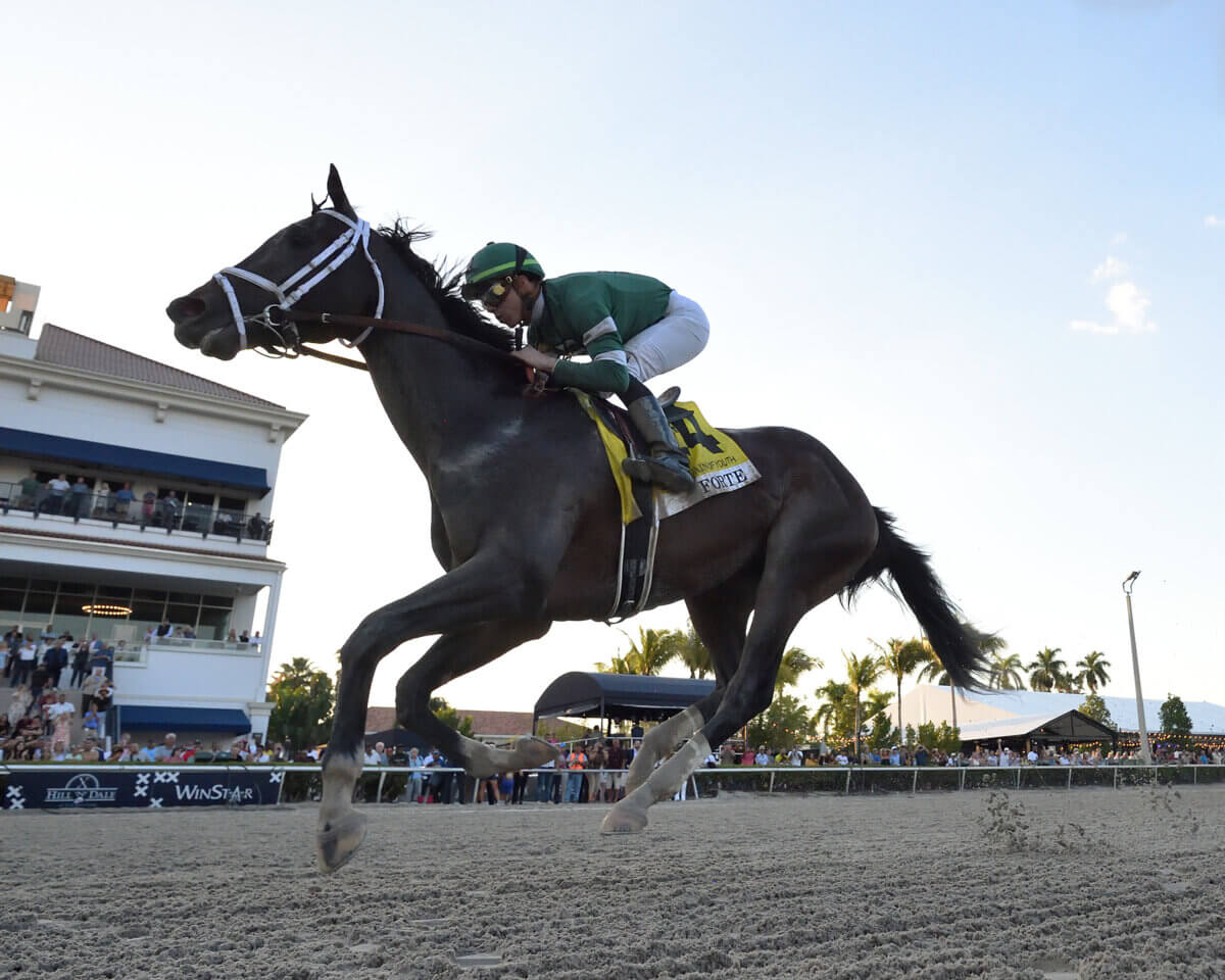 Forte winning Fountain of Youth Stakes