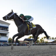 Forte winning Fountain of Youth Stakes