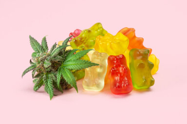 Gummy Bear Medical Marijuana Edibles (CBD or THC Candies) with Cannabis Bud Isolated on Pink Background