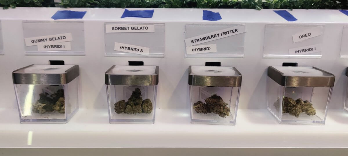 Potful of trouble: NYC stores skirting marijuana licensing rules, prompting legal confusion and safety concerns 3
