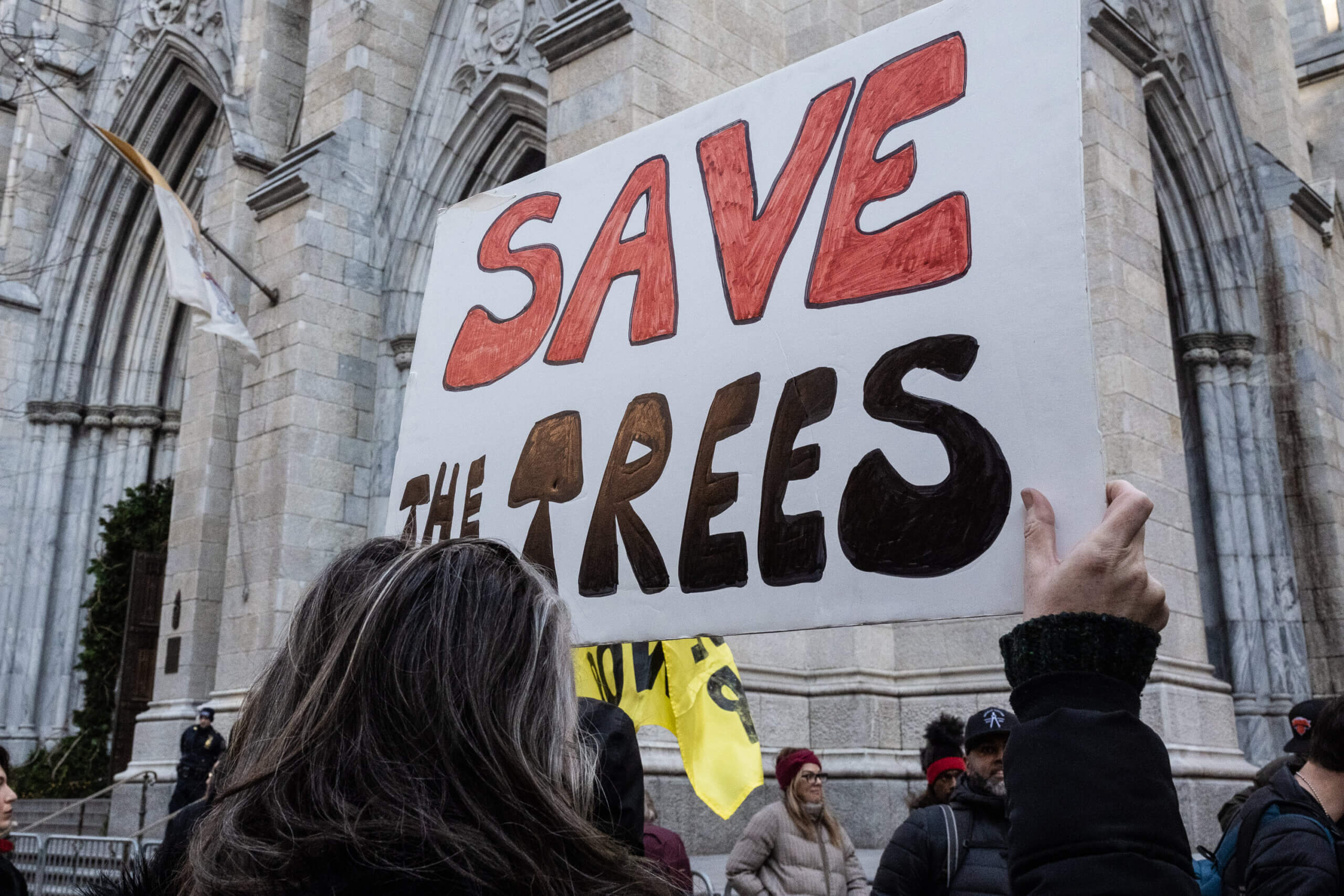 New York activists join national day of outcry over Atlanta's 'Cop City' 2
