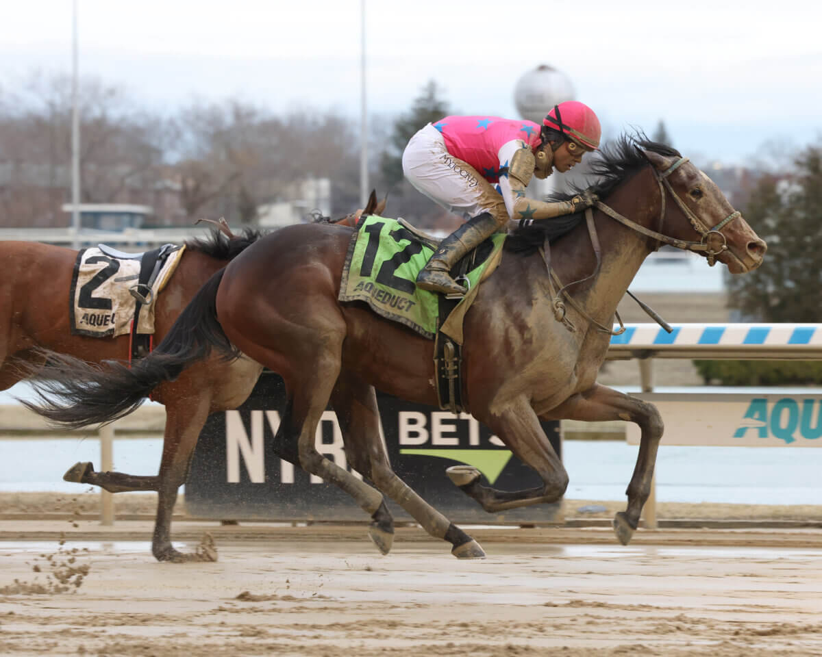 Raise Cain wins Gotham Stakes on road to Kentucky Derby