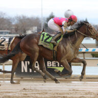 Raise Cain wins Gotham Stakes on road to Kentucky Derby
