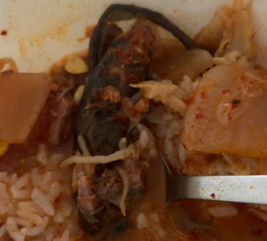Dead rat in Manhattan restaurant soup