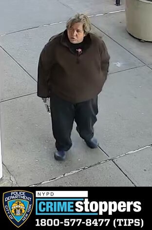 image of the suspect