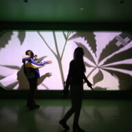 House of Cannabis (THC NYC)'s disorientation room.