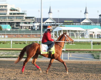 Mage preps for the 2023 Kentucky Derby