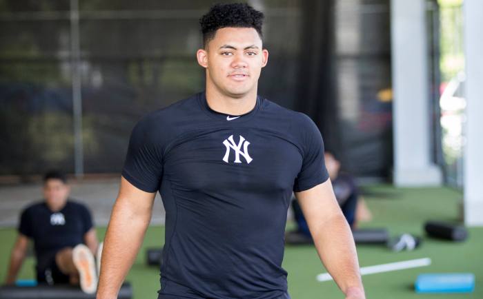 Jasson Dominguez Yankees