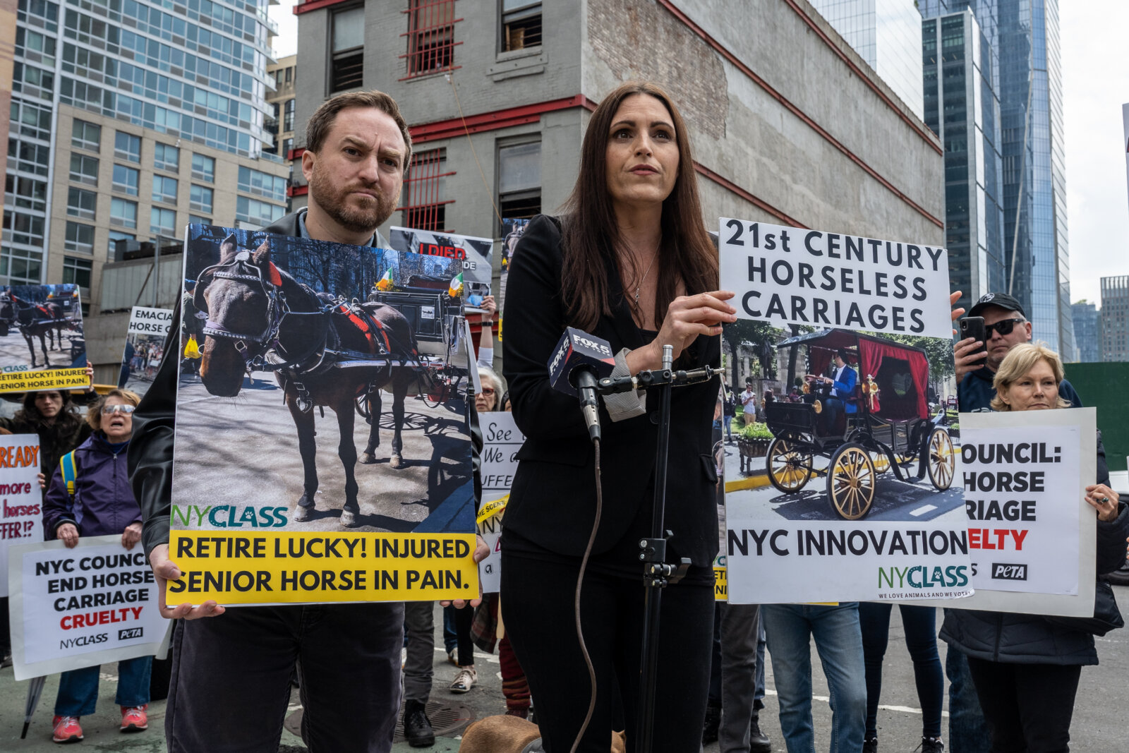 Carriage Horse Death Reignites Animal Rights Row