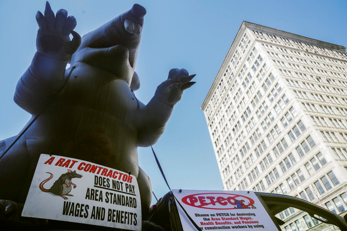 Meet Scabby the Rat, the inflatable icon of New York City's labor disputes 2 Scabby the Rat