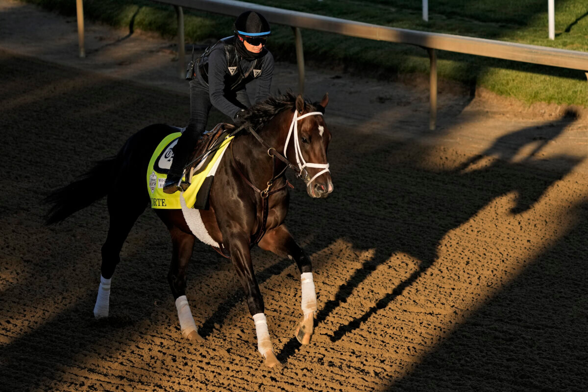 Forte, possible Belmont Stakes runner