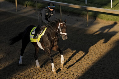 Forte, possible Belmont Stakes runner