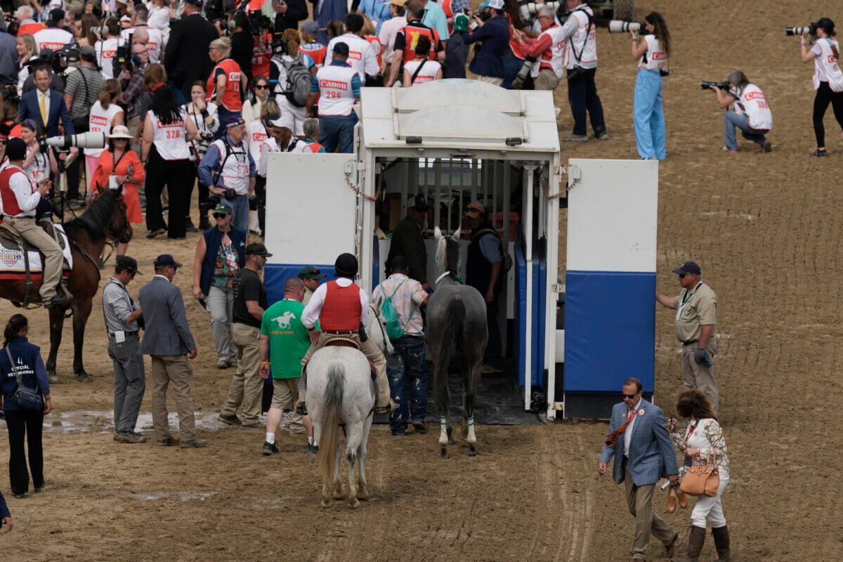 amNY at the Track | Week of tragedy at Kentucky Derby shows that horse racing still has far more to do to bolster safety, save lives 2