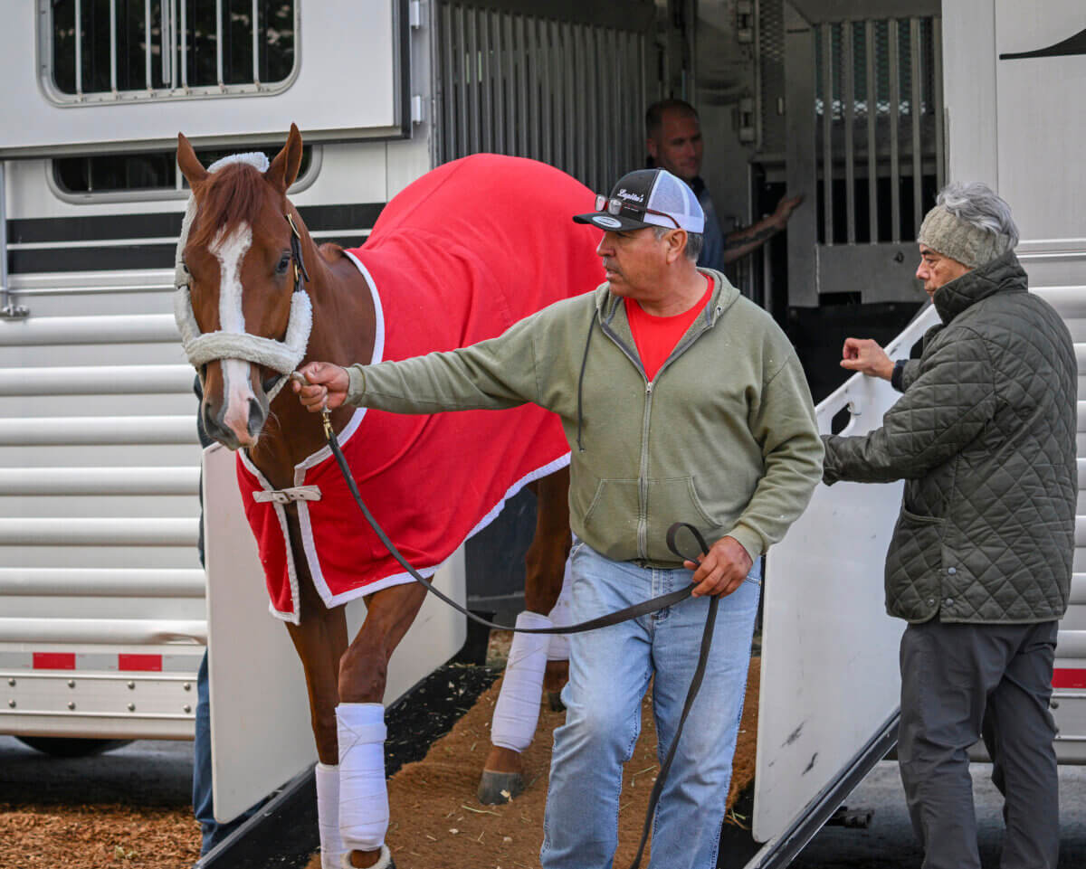 amNY at the Track Haskell Stakes offers Kentucky Derby winner, and