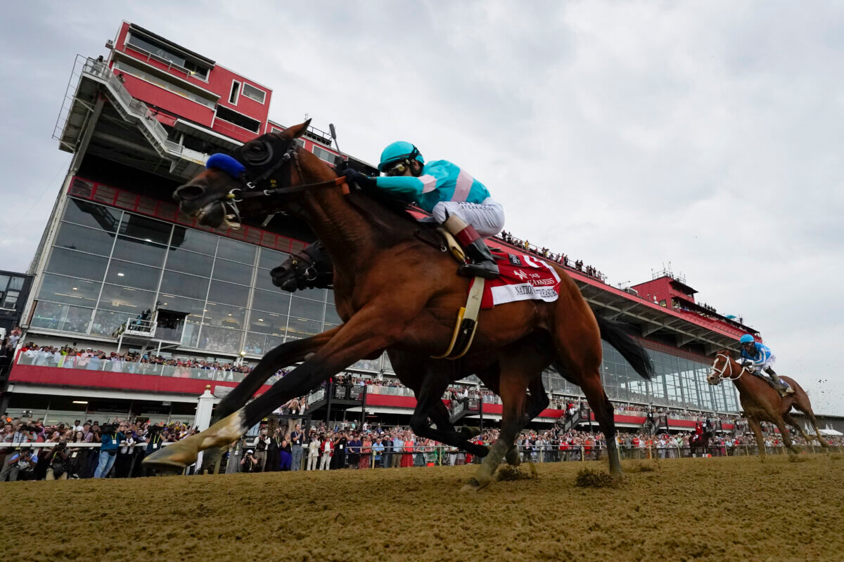 National Treasure wins 2023 Preakness Stakes, may be heading to Belmont Stakes