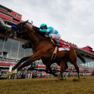National Treasure wins 2023 Preakness Stakes, may be heading to Belmont Stakes
