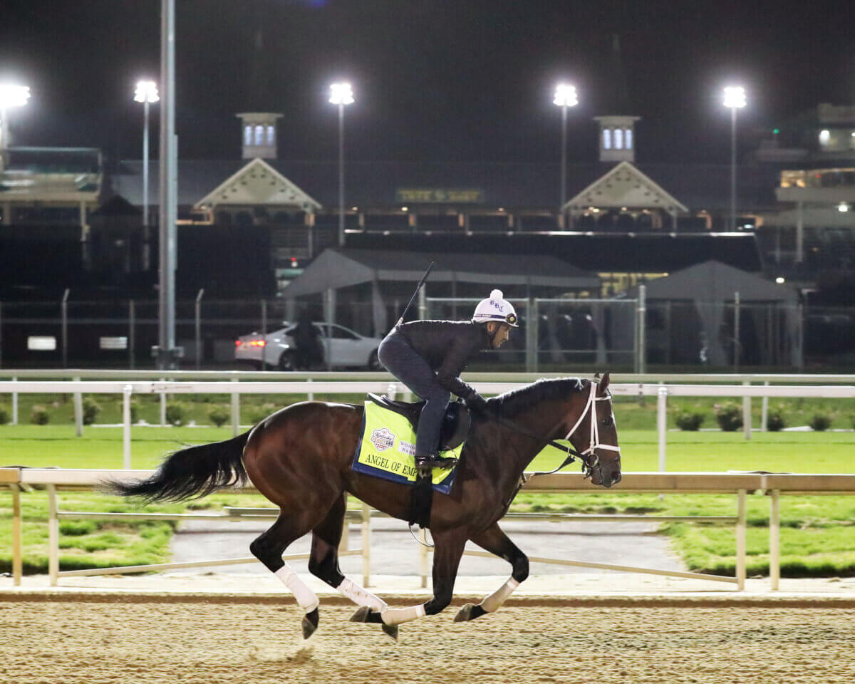 Kentucky Derby contender Angel of Empire