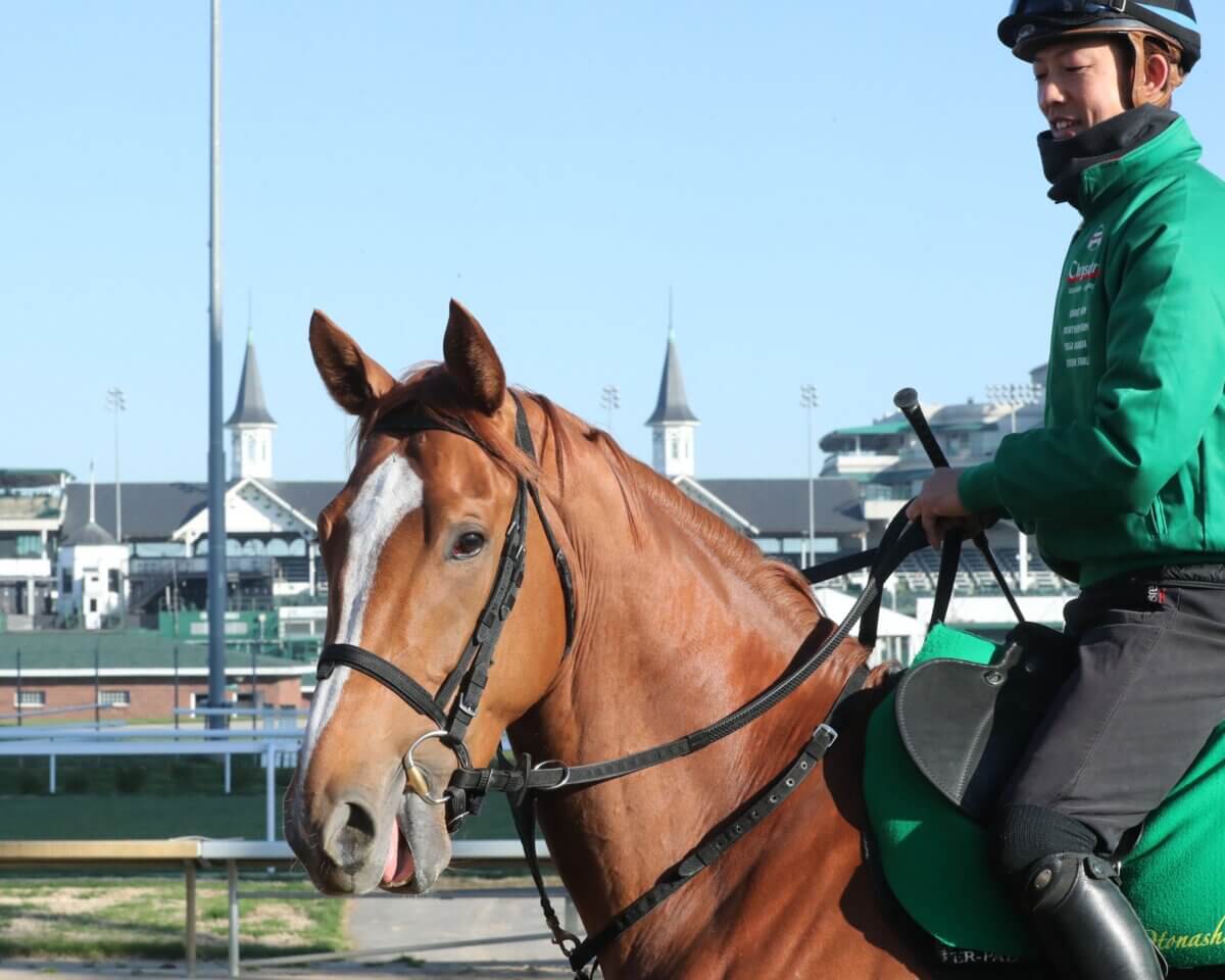 Kentucky Derby contender Derma Sotogake