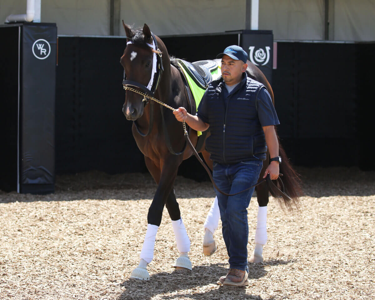 Kentucky Derby contender Forte