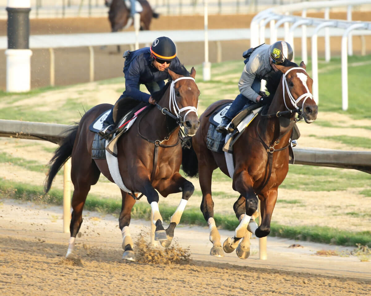 Kentucky Derby | Here's the five horses who we think have the best shot at winning the Run for the Roses 7 Kentucky Derby contender Kingsbarns