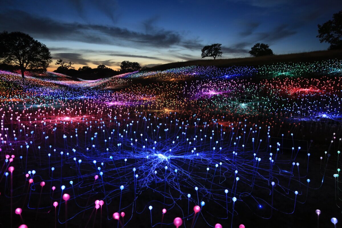 Field of lights proposal for Midtown