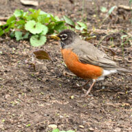 amNY Weekender | 6 things to do this weekend in NYC 20