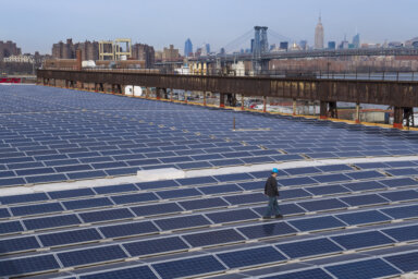 man walking on a field of solar panels