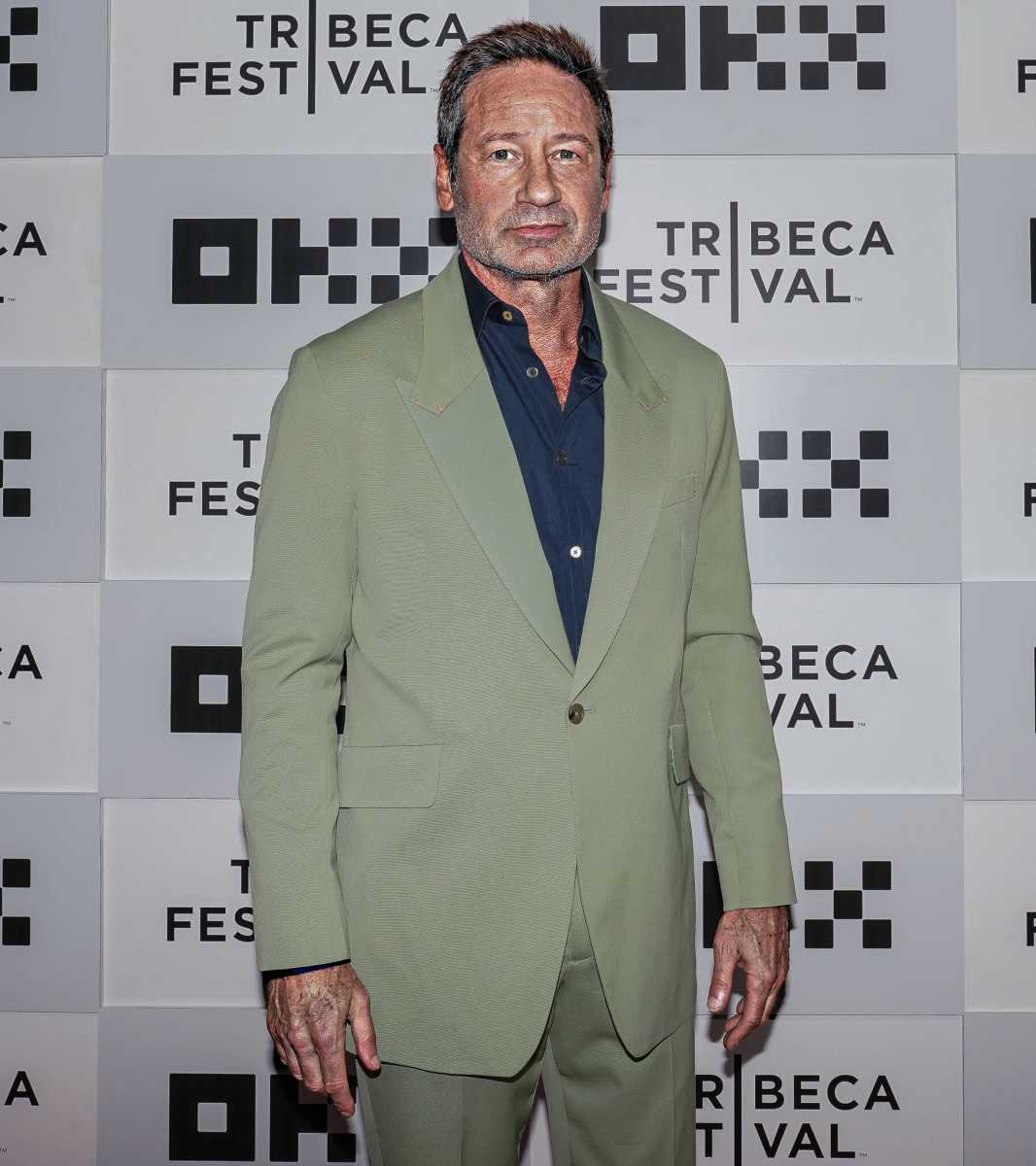 David Duchovny on the red carpet for the premiere of 'Bucky F*cking Dent.'
