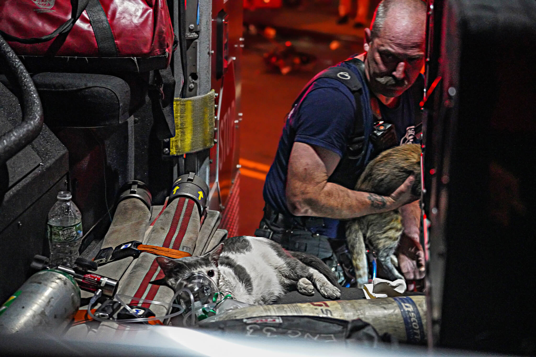 Fire tears through Chinatown e-bike store leaving 4 dead, 2 fighting for their lives: FDNY 14 Firefighters save cats from the fire.