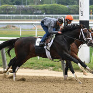 Belmont Stakes Contender