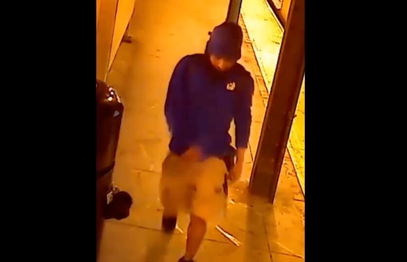 Brooklyn subway stabbing suspect