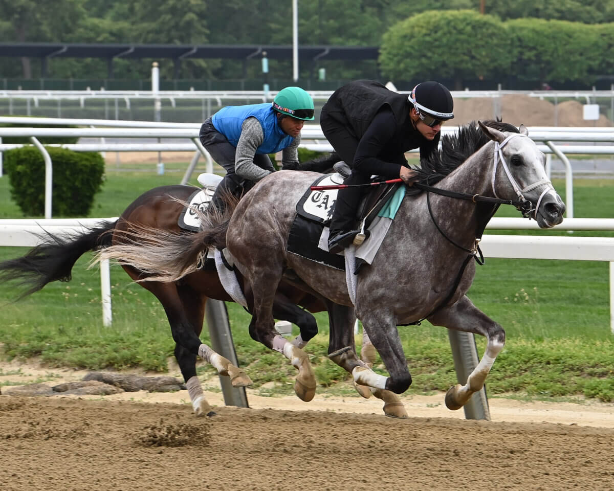 Belmont Stakes contender Tapit Trice