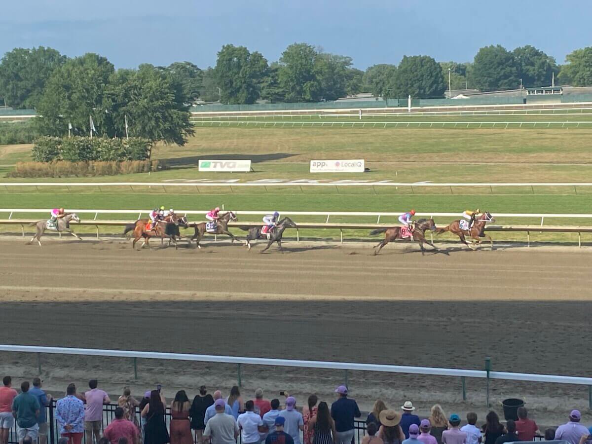 Horses running in Haskell Stakes at Monmouth Park