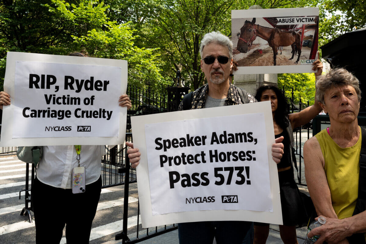 Activists, elected officials pressure City Council to pass Ryder's Law 5