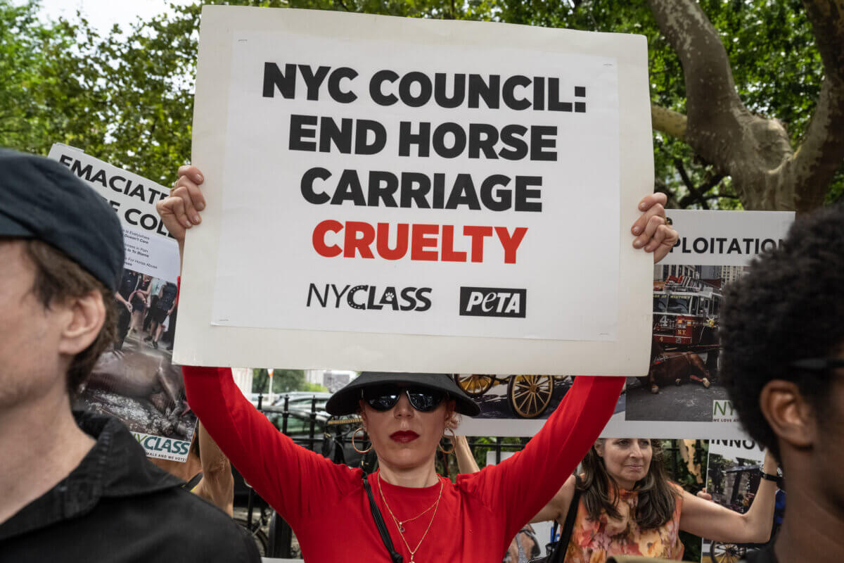 Activists, elected officials pressure City Council to pass Ryder's Law 7