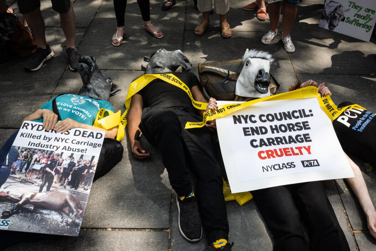 Activists, elected officials pressure City Council to pass Ryder's Law 6