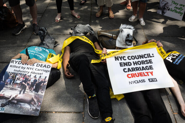 NYC carriage horse dies of colic in Midtown stable, reigniting controversy 7 Animal rights activists stage a die-in at a rally