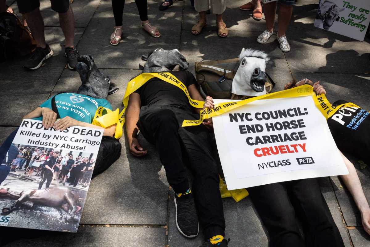 Rally goers lay down in die-in over carriage horse industry in support of Ryder's Law