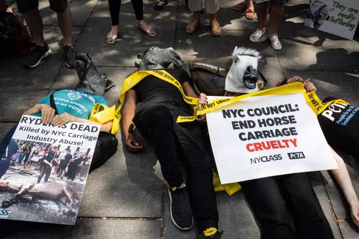 Rally goers lay down in die-in over carriage horse industry in support of Ryder's Law