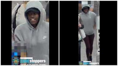 subwaysteal