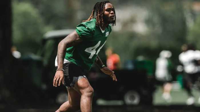Jamien Sherwood prepares for starting role with jets
