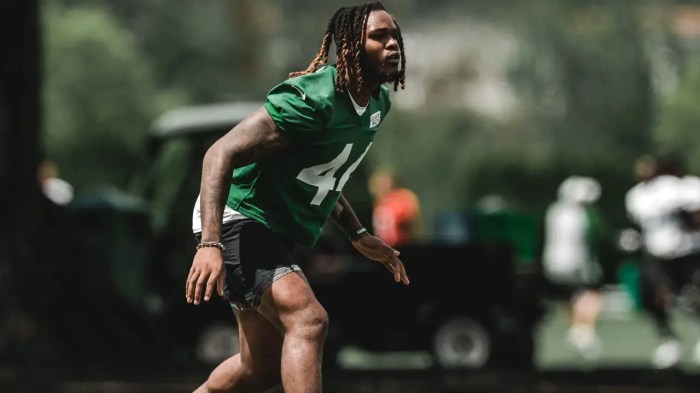 Jamien Sherwood prepares for starting role with jets