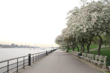 Riverside Park, where 21-year-old Jhonatan Cortes-Lopez allegedly attempted to rape a woman on July 18. He was indicted in connection with that incident, as well as two other sex crimes.