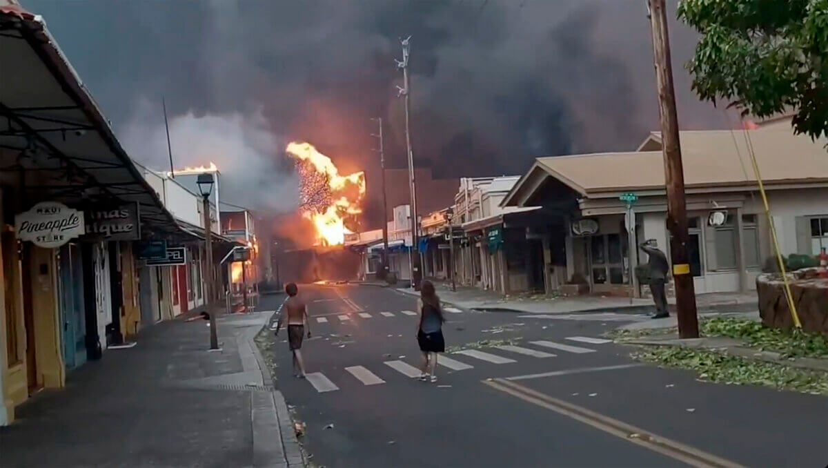 Maui wildfires