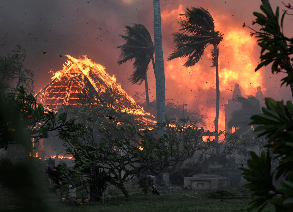 Maui wildfires