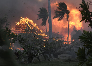 Maui wildfires